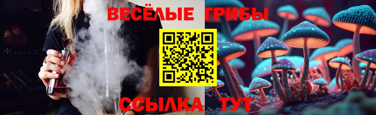 Котовск  Галлюциногенные грибы MAGIC MUSHROOMS  Псилоцибиновые грибы прущие грибы  Вход с VPN 
